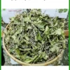 Nơi bán Dây Thìa Canh ở Quận 6 giá gốc - Địa chỉ bán sỉ lẻ giao nhanh