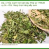 Nơi bán Dây Thìa Canh tại TPHCM uy tín - Chú Hùng chọn hàng sấy lạnh