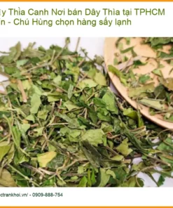 Nơi bán Dây Thìa Canh tại TPHCM uy tín - Chú Hùng chọn hàng sấy lạnh - Có sẵn