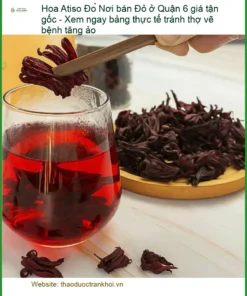 Nơi bán Hoa Atiso Đỏ ở Quận 6 giá tận gốc - Địa chỉ Cung cấp Giao nhanh