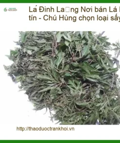 Nơi bán Lá Đinh Lăng tại TPHCM uy tín - Chú Hùng chọn loại sấy khô tự nhiên