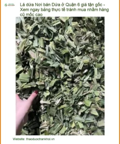 Nơi bán Lá Dứa ở Quận 6 giá tận gốc - Địa chỉ Bán Sỉ lẻ Giao nhanh