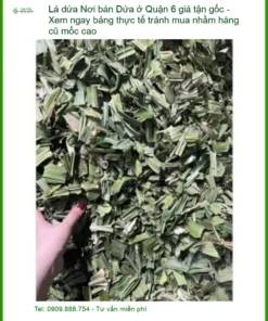 Lá Dứa Quận 6 Giá Tận Gốc - Địa chỉ Bán Sỉ lẻ Giao nhanh tại TPHCM