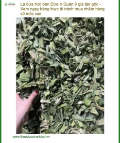 Nơi bán Lá Dứa ở Quận 6 giá tận gốc - Địa chỉ cung cấp sỉ lẻ giao nhanh TPHCM