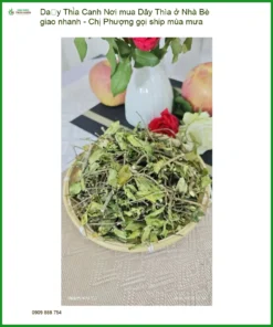 Nơi mua Dây Thìa Canh ở Nhà Bè giao nhanh - Chị Phượng gọi ship mùa mưa