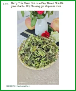 Nơi mua Dây Thìa Canh ở Nhà Bè giao nhanh - Chị Phượng gọi ship mùa mưa