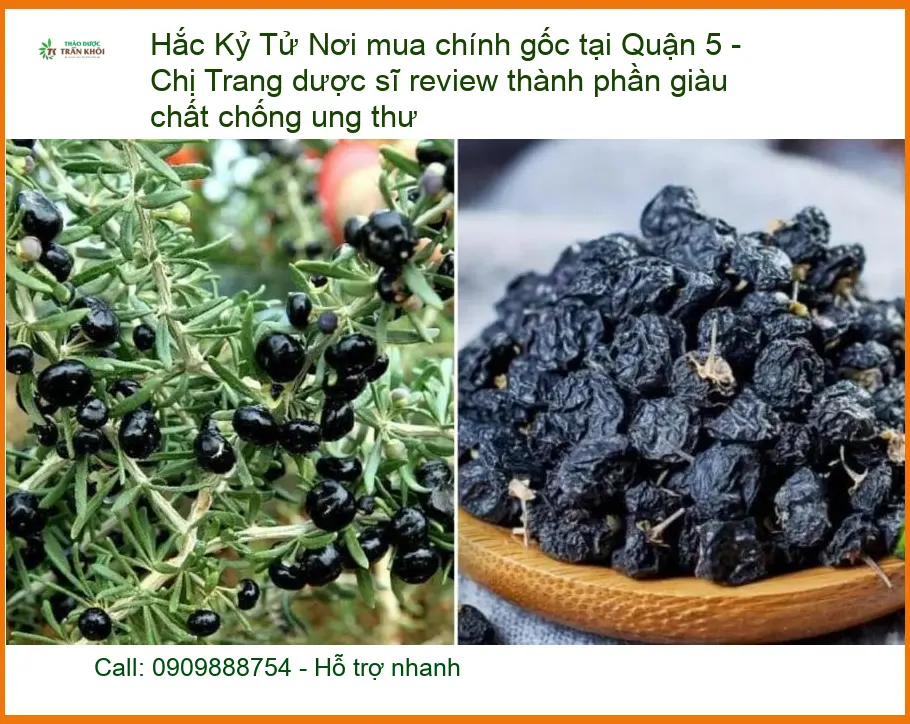 Hắc Kỷ Tử chính gốc tại Quận 5 - Chống ung thư - Địa chỉ Bán Giao nhanh