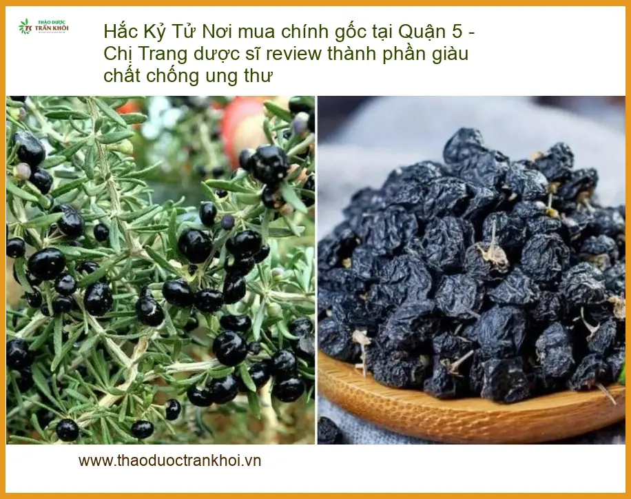 Hắc Kỷ Tử chính gốc Quận 5 - Chị Trang dược sĩ review - Địa chỉ Bán Giao nhanh