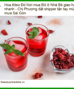 Hoa Atiso Đỏ tại Nhà Bè - Địa chỉ Bán Sỉ lẻ Giao nhanh TPHCM