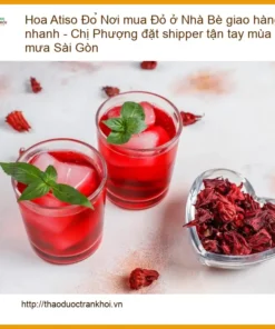 Hoa Atiso Đỏ ở Nhà Bè giao hàng nhanh - Đơn vị cung cấp sỉ lẻ TPHCM