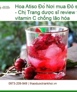 Hoa Atiso Đỏ sấy khô tại Quận 5 - Chị Trang review - Địa chỉ Sỉ lẻ Giao nhanh