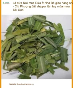 Lá Dứa tươi ngon Nhà Bè giao hàng nhanh TPHCM - Đơn vị Cung cấp Có sẵn