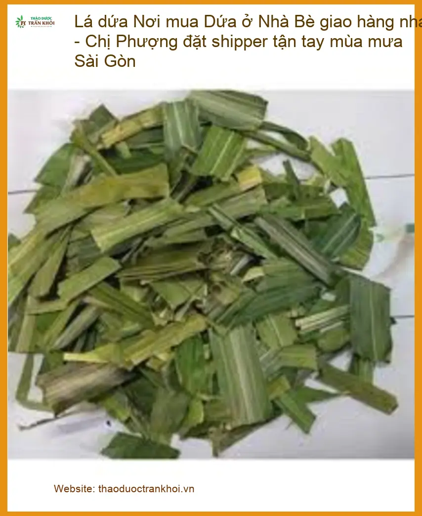Lá Dứa tươi ngon Nhà Bè giao hàng nhanh TPHCM - Đơn vị Cung cấp Có sẵn