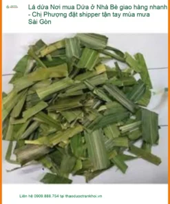 Lá Dứa tươi Nhà Bè giao tận tay Sài Gòn - Đơn vị Cung cấp Giao nhanh TPHCM