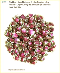 Nụ Hoa Hồng ở Nhà Bè giao hàng nhanh Sài Gòn - Đơn vị Cung cấp Có sẵn