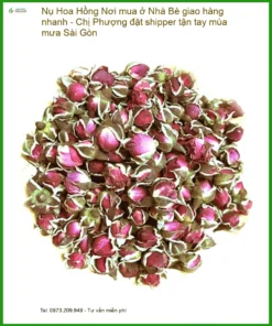 Nụ Hoa Hồng ở Nhà Bè - Đơn vị Cung cấp Sỉ lẻ Giao nhanh tận nơi TPHCM