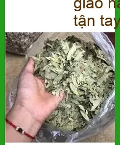 Phan Tả Diệp tại Nhà Bè - Cung cấp sỉ lẻ, giao hàng nhanh tận tay TPHCM
