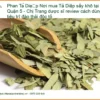 Nơi mua Phan Tả Diệp sấy khô tại Quận 5 - Chị Trang dược sĩ review cách dùng tiêu trĩ đào thải độc tố - Địa chỉ Bán Giao nhanh