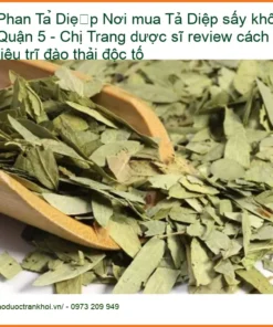 Nơi mua Phan Tả Diệp sấy khô tại Quận 5 - Chị Trang dược sĩ review cách dùng tiêu trĩ đào thải độc tố - Địa chỉ Bán Giao nhanh