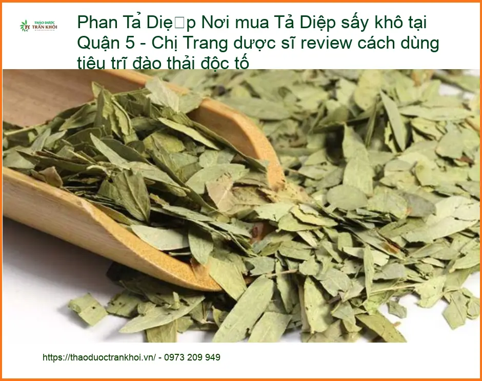 Nơi mua Phan Tả Diệp sấy khô tại Quận 5 - Chị Trang dược sĩ review cách dùng tiêu trĩ đào thải độc tố - Địa chỉ Bán Giao nhanh