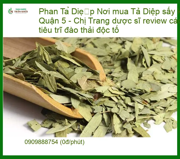 Phan Tả Diệp sấy khô Q5 - Chị Trang review tiêu trĩ - Địa chỉ Bán Có sẵn