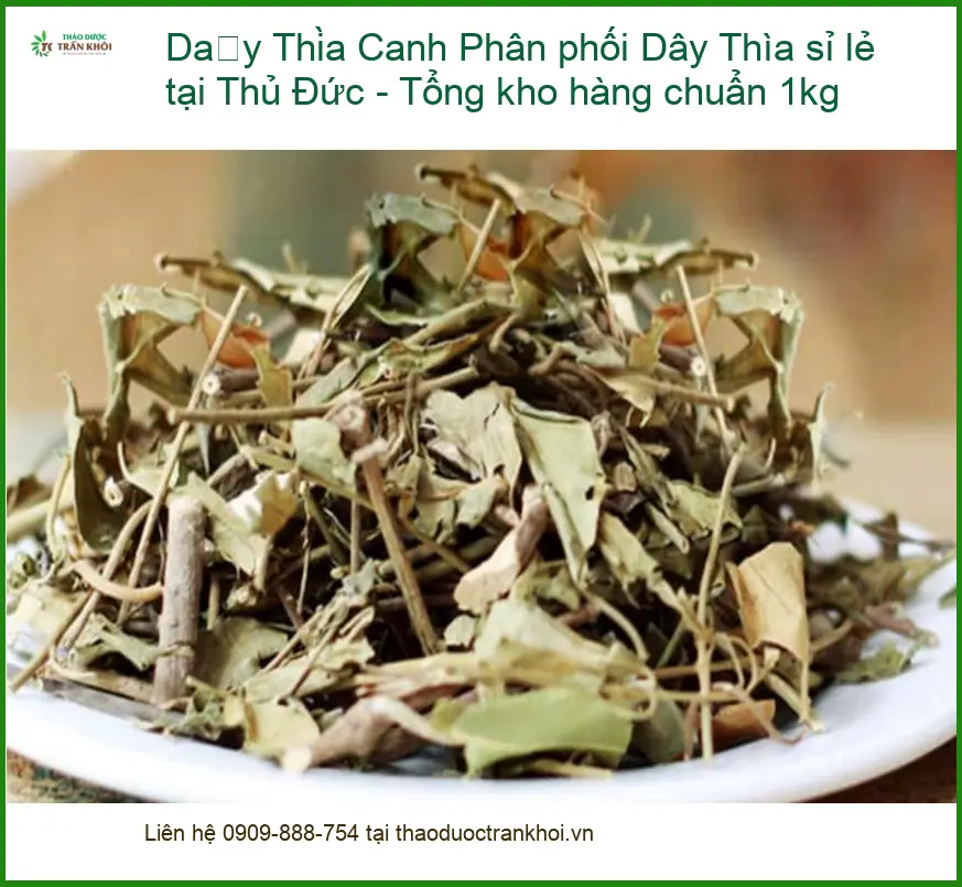 Phân phối Dây Thìa Canh sỉ lẻ tại Thủ Đức - Tổng kho hàng chuẩn 1kg