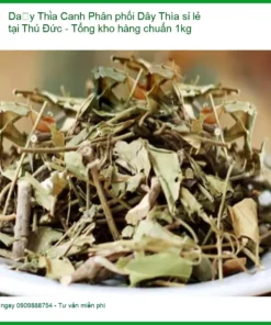 Phân phối Dây Thìa Canh sỉ lẻ tại Thủ Đức - Tổng kho hàng chuẩn 1kg