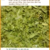 Phan Tả Diệp 250g hỗ trợ tiêu hóa - Địa chỉ bán giao nhanh tại TPHCM