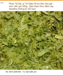 Phan Tả Diệp 250g hỗ trợ tiêu hóa - Địa chỉ bán giao nhanh tại TPHCM