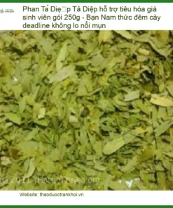 Phan Tả Diệp hỗ trợ tiêu hóa 250g - Đơn vị cung cấp sỉ lẻ có sẵn TPHCM