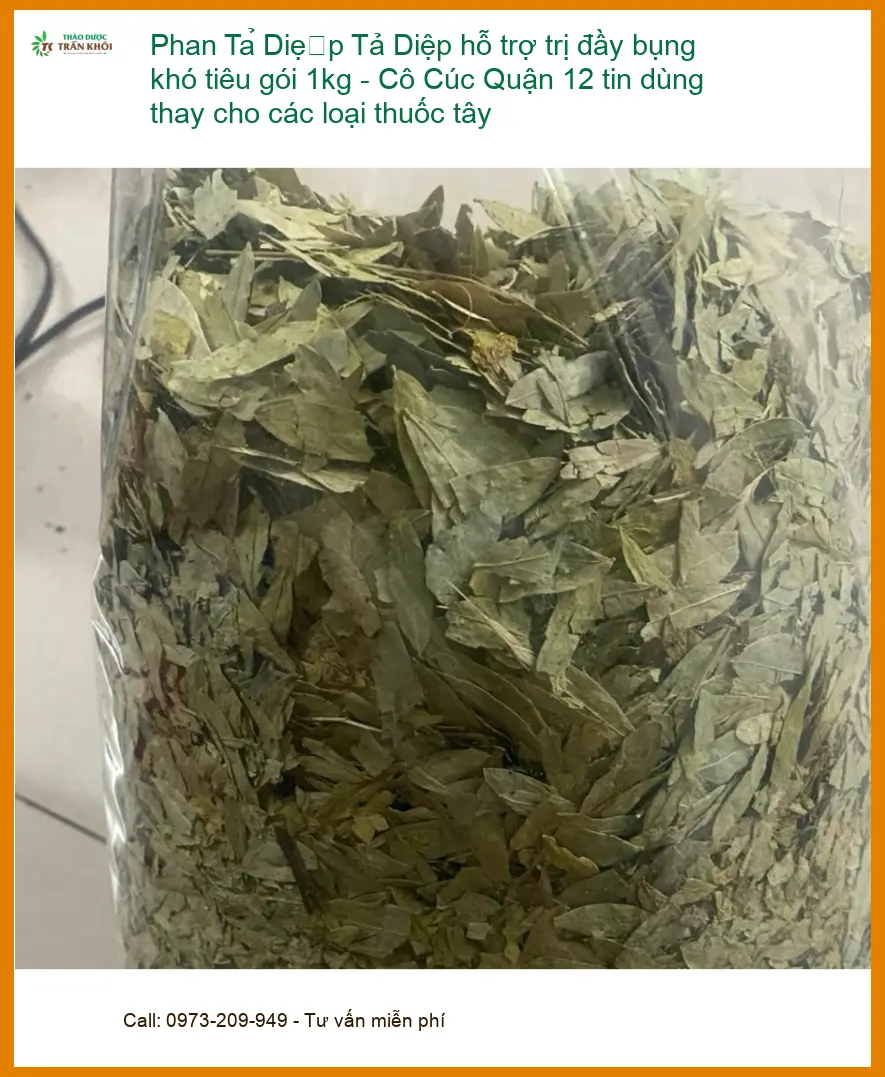 Phan Tả Diệp trị đầy bụng khó tiêu 1kg - Cô Cúc Q12 - Sỉ lẻ Giao nhanh TPHCM