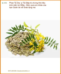 Phan Tả Diệp trị chứng khó tiêu kinh niên túi 300g - Địa chỉ Bán Giao nhanh