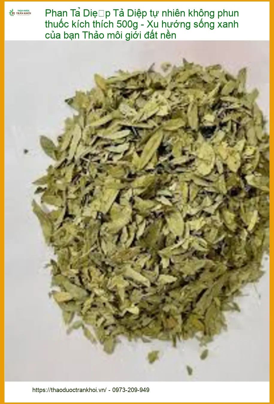 Phan Tả Diệp tự nhiên không phun thuốc kích thích 500g - Bán sỉ lẻ TPHCM
