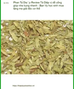 Phan Tả Diệp vị dễ uống, nhẹ bụng, giải độc - Đơn vị cung cấp có sẵn TPHCM