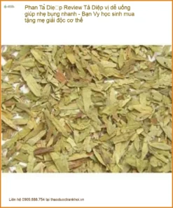 Phan Tả Diệp vị dễ uống giúp nhẹ bụng nhanh - Địa chỉ Bán Giao nhanh TPHCM