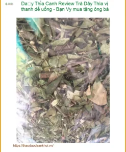 Review Trà Dây Thìa Canh vị thanh dễ uống - Bạn Vy mua tặng ông bà - TPHCM