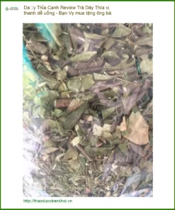 Review Trà Dây Thìa Canh vị thanh dễ uống - Bạn Vy mua tặng ông bà - TPHCM