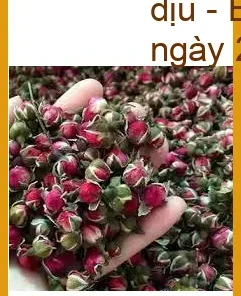 Trà Nụ Hoa Hồng vị thanh ngọt thơm dịu - Địa chỉ Bán Giao nhanh tại TPHCM