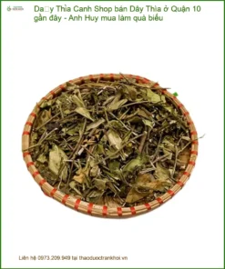Shop bán Dây Thìa Canh ở Quận 10 gần đây - Đơn vị cung cấp có sẵn