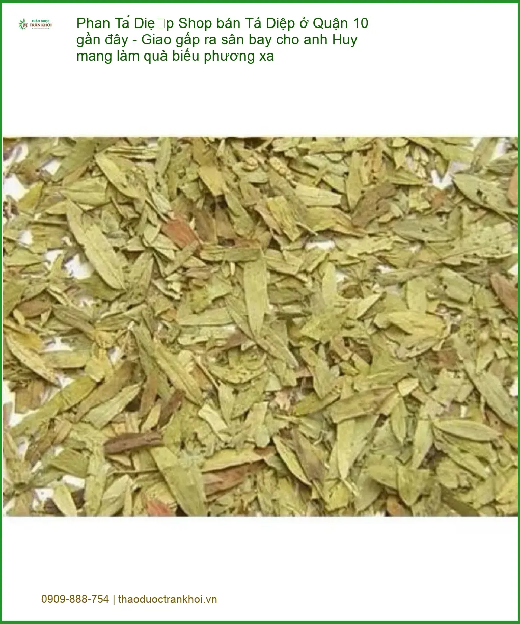 Shop bán Phan Tả Diệp ở Quận 10 gần đây - Địa chỉ bán giao nhanh TPHCM