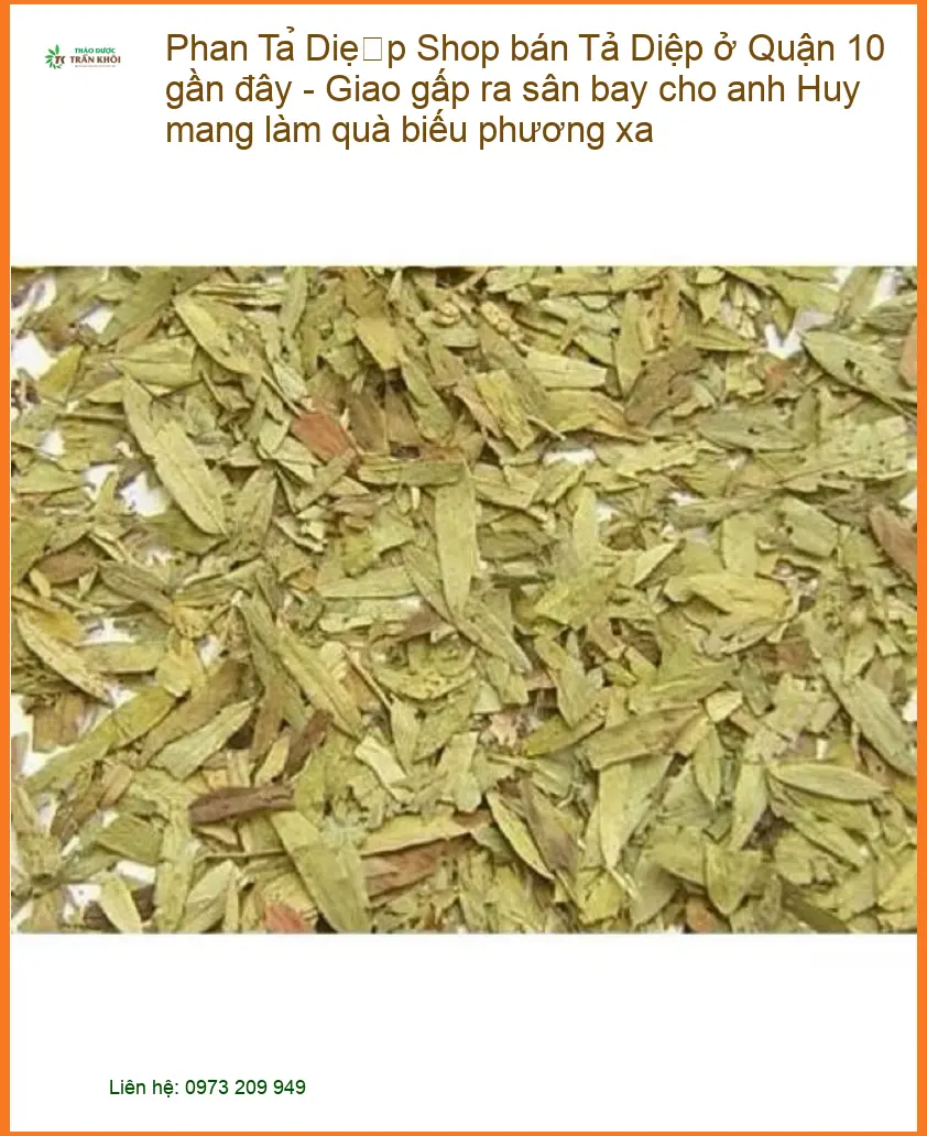 Phan Tả Diệp ở Quận 10 gần đây - Địa chỉ Bán Giao nhanh tại TPHCM