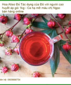 Hoa Atiso Đỏ 1kg cho người cao huyết áp - Địa chỉ Bán Sỉ Lẻ Giao Nhanh TPHCM