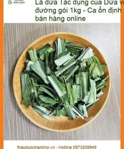 Lá Dứa cho người tiểu đường gói 1kg - Địa chỉ bán giao nhanh TPHCM