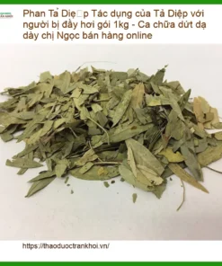 Tác dụng Phan Tả Diệp trị đầy hơi gói 1kg - Địa chỉ Bán Giao nhanh TPHCM