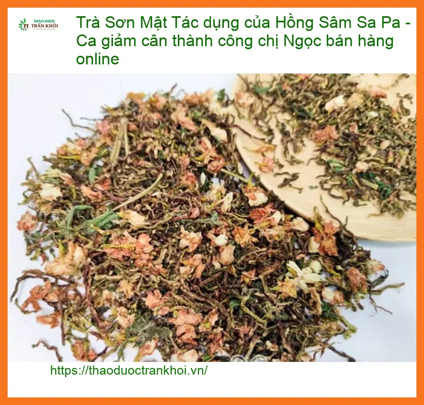 Trà Sơn Mật Hồng Sâm Sa Pa Giảm Cân - Chị Ngọc Online | Địa chỉ Bán Giao nhanh TPHCM