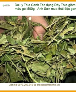 Tác dụng Dây Thìa Canh giảm mỡ máu gói 500g - Anh Sơn mua thải độc gan