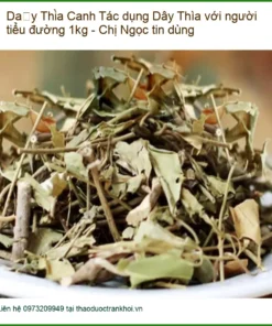 Dây Thìa Canh khô cho người tiểu đường 1kg - Địa chỉ bán giao nhanh TPHCM