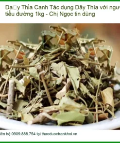 Tác dụng Dây Thìa Canh với người tiểu đường 1kg - Chị Ngọc tin dùng - Sỉ lẻ TPHCM