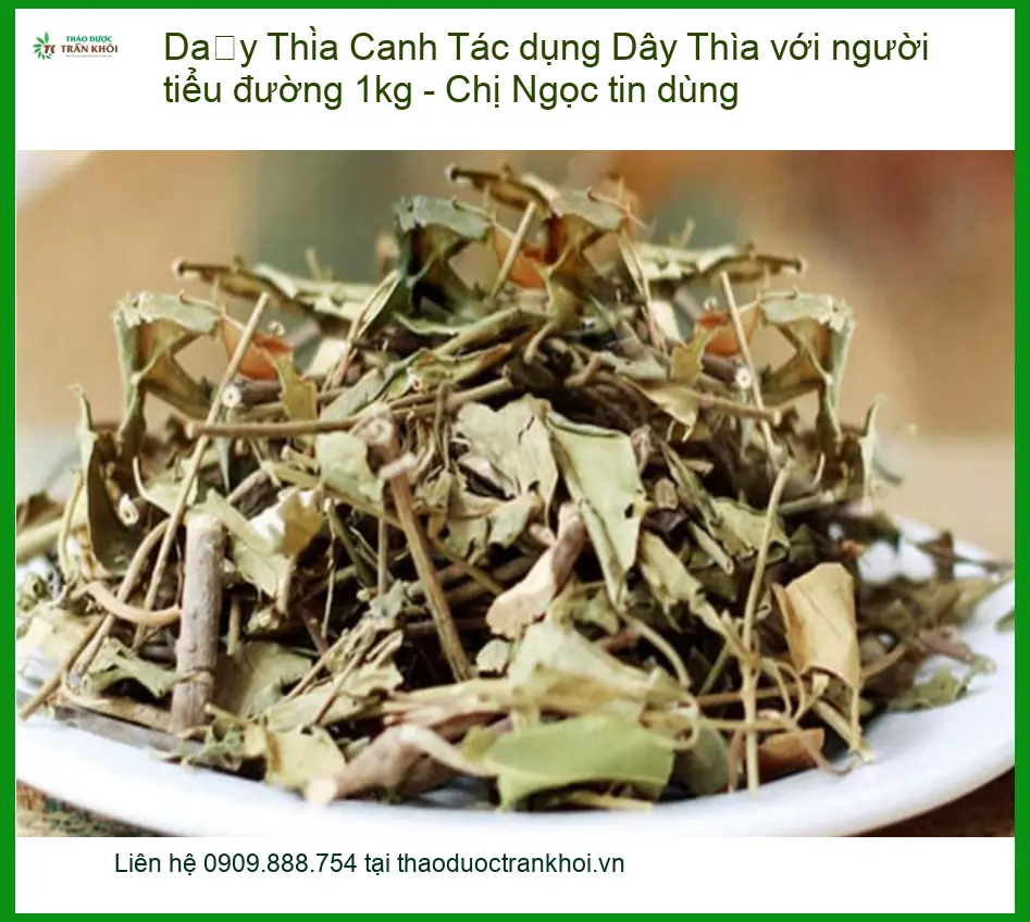 Tác dụng Dây Thìa Canh với người tiểu đường 1kg - Chị Ngọc tin dùng - Sỉ lẻ TPHCM