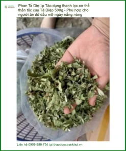 Phan Tả Diệp 500g thanh lọc cơ thể - Hỗ trợ ăn dầu mỡ - Địa chỉ bán TPHCM